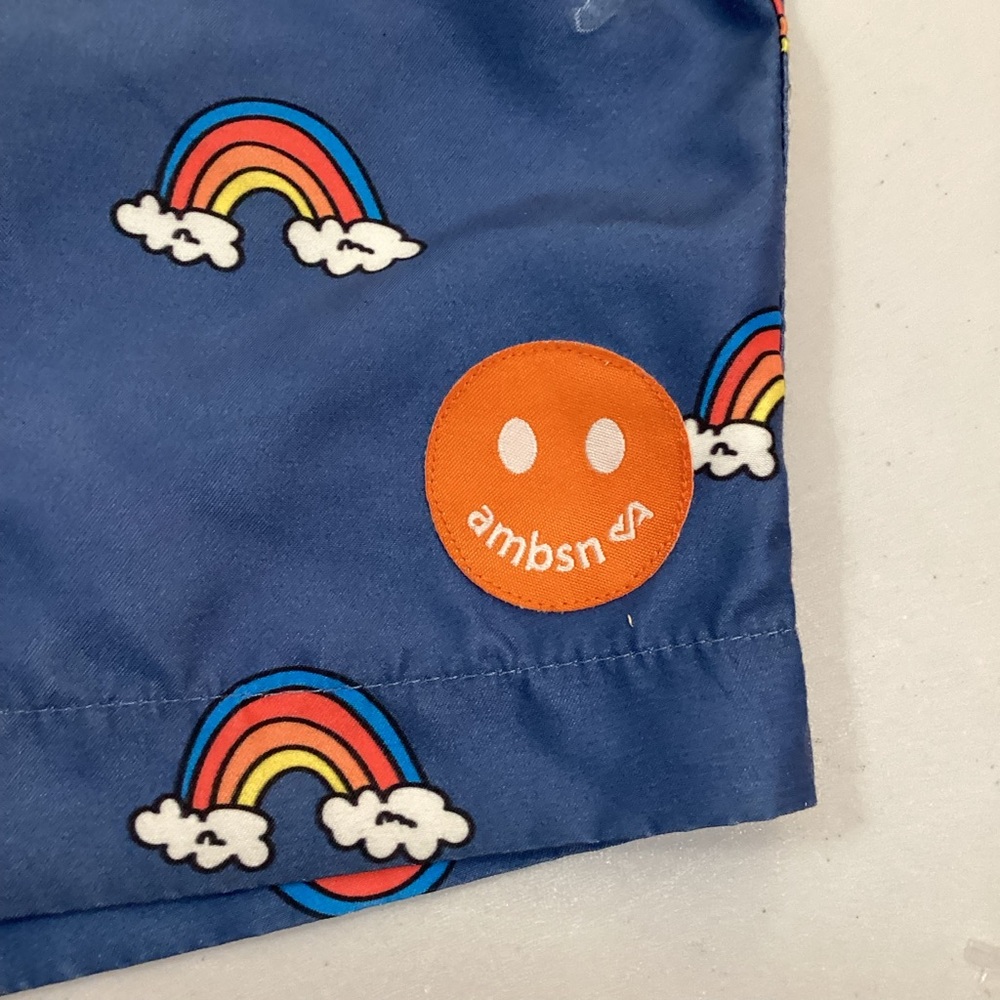 Pacsun Ambsn California Rainbow Swim Trunks - Picture 3 of 8